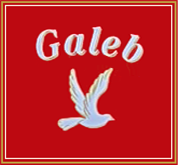 Restaurant Galeb | Kroatische und internationale Spezialitäten